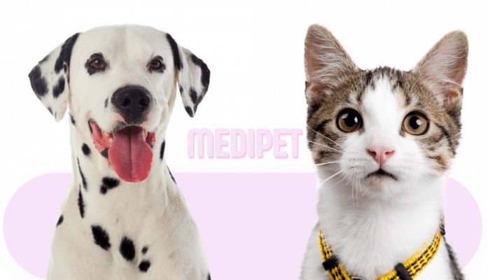 MedibitWeb Page Asset 03